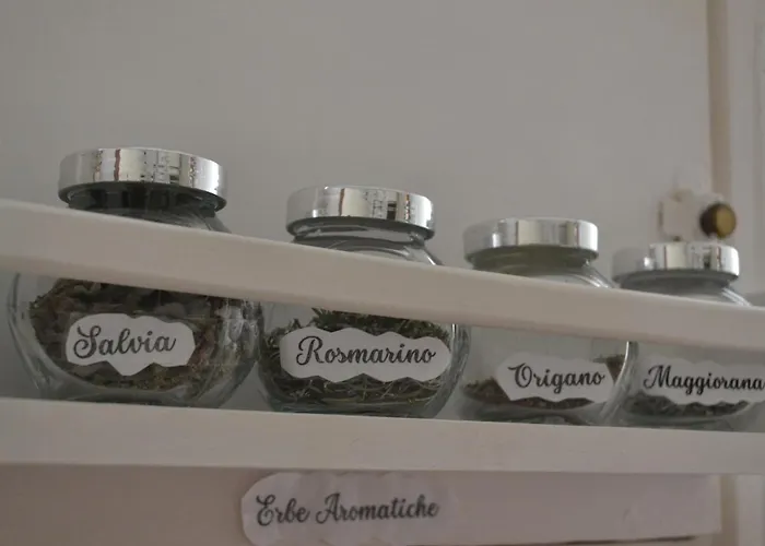 La Conchiglia Chiavari