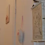 La Conchiglia Apartment Chiavari