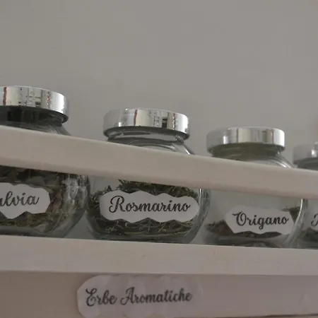 La Conchiglia Chiavari